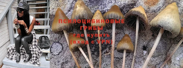бошки Алексеевка