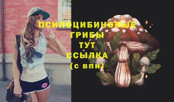 a pvp Алзамай