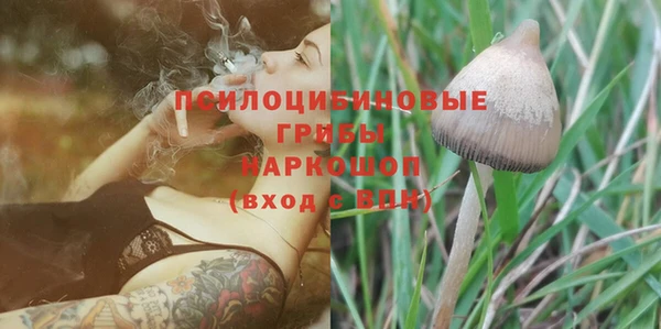бошки Алексеевка